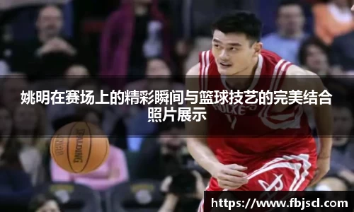 姚明在赛场上的精彩瞬间与篮球技艺的完美结合照片展示